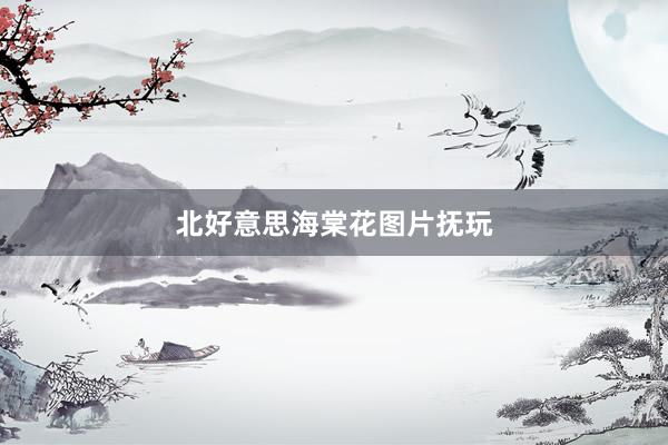 北好意思海棠花图片抚玩